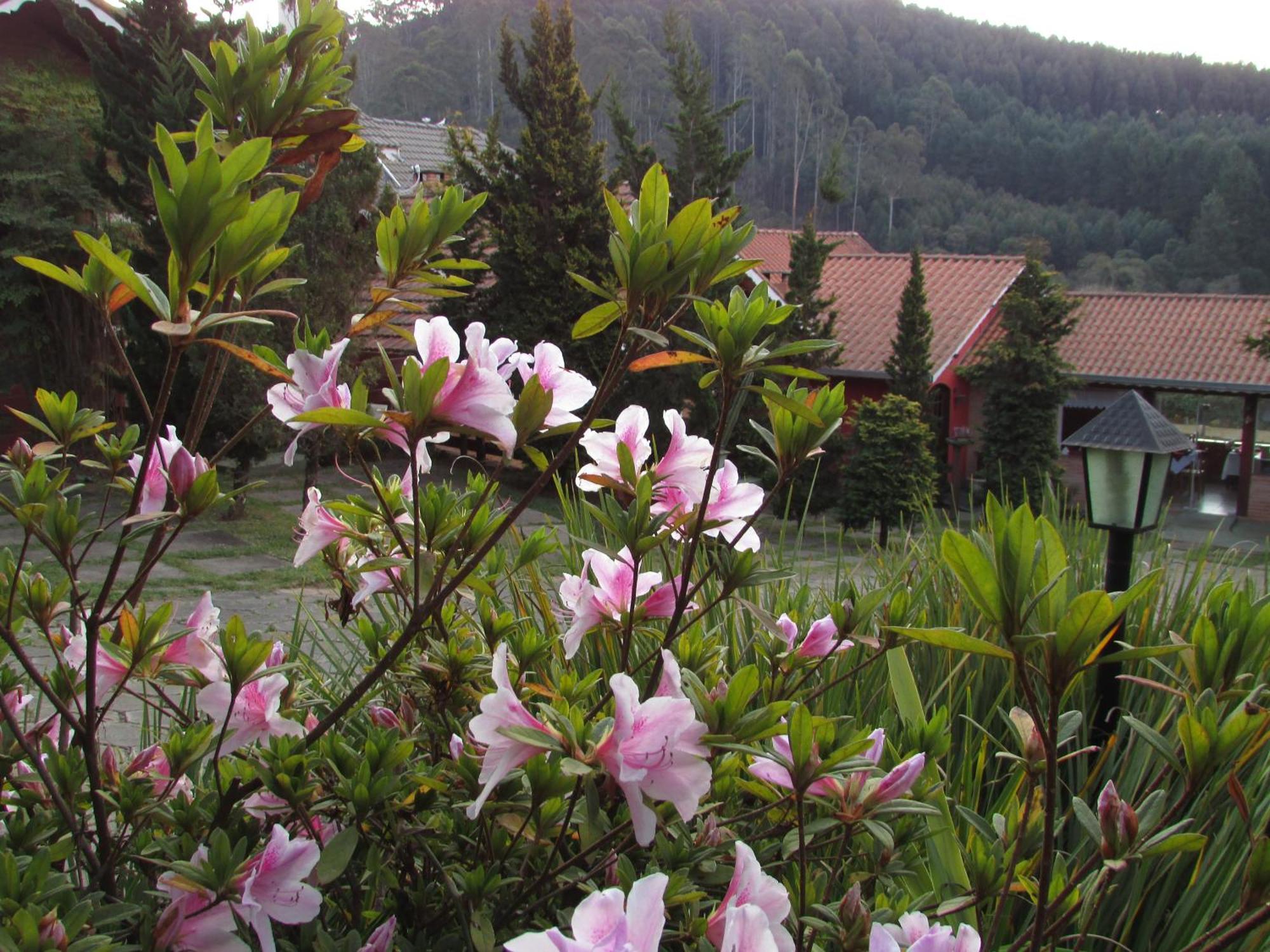 Pousada Flores Da Serra Monte Verde  Bagian luar foto